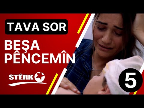 TAVA-SOR-5